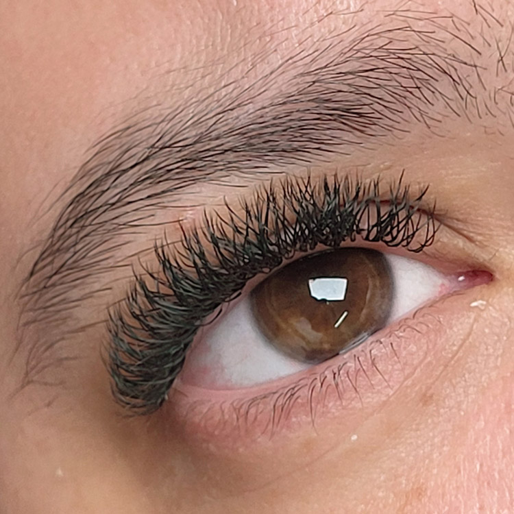 Extensiones de pestañas volumen brasileño